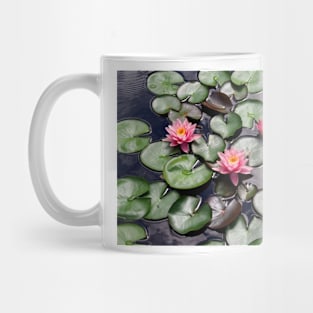 Pink Water Lilly Flower Trio floating on a Garden Pond Mug